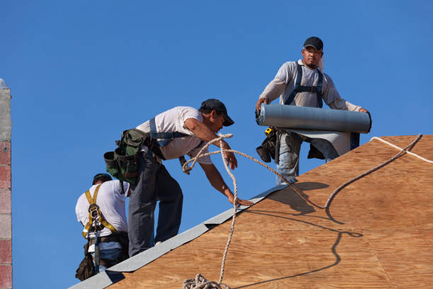 Best Metal Roofing Contractor  in Oakes, ND