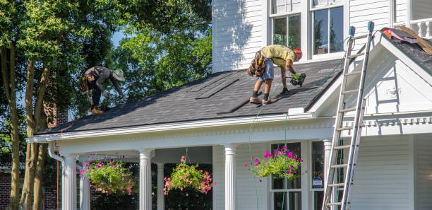 Best Roof Gutter Cleaning  in Oakes, ND